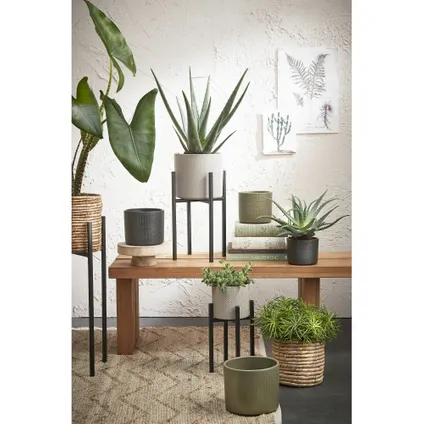 Mica Decorations Plantenstandaard - metaal - zwart - H55 x B24 cm 5
