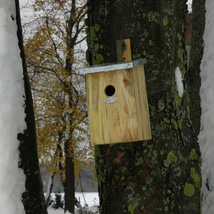 Best for Birds Vogelhuisje - hout - nestkastje met kijkluik - 33 cm 8