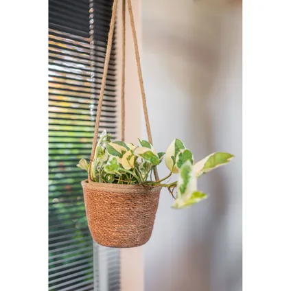 Steege Plantenpot - hangend - zeegras - 19 x 17 cm 2