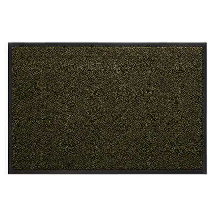 Schoonloopmat Ingresso - 90x150 cm - Groen