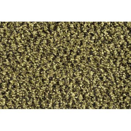 Schoonloopmat Ingresso - 90x150 cm - Groen 2