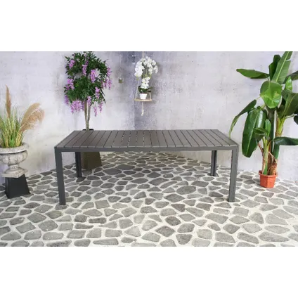 Table de jardin SenS-Line Jerry anthracite - 220x100 cm 3