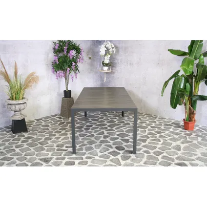 Table de jardin SenS-Line Jerry anthracite - 220x100 cm 6