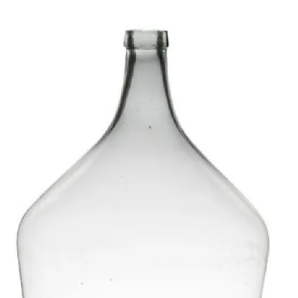 Hakbijl Glass Vaas - flesvormig - transparant - glas - 25L - 34x50 cm 2