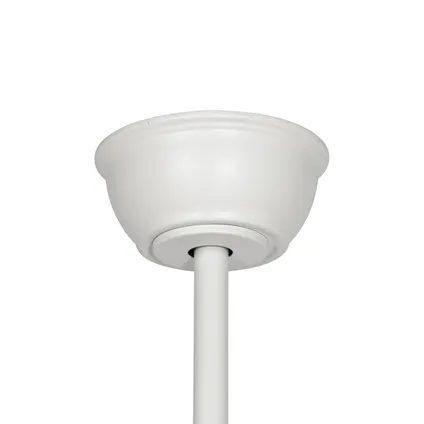 QAZQA Plafondventilator wit met afstandsbediening - Bora 10