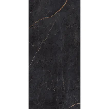 Schulte - 2 wandpanelen- SOFTTOUCH - 100+100x210 - marbre antraciet -zelf inkortbaar en zelfklevend 2