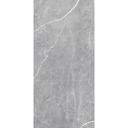 Schulte - 2 wandpanelen - SOFTTOUCH - 100+100x210 - marbre grijs -zelf inkortbaar en zelfklevend 2