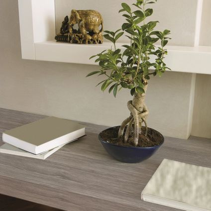 Transform zelfklevende decoratiefolie Oak grijs 45x200 cm
