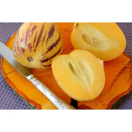 Solanum 'Pepino gold' - Meloenpeer - Set van 6 - Pot 9cm - Hoogte 25-40cm 5