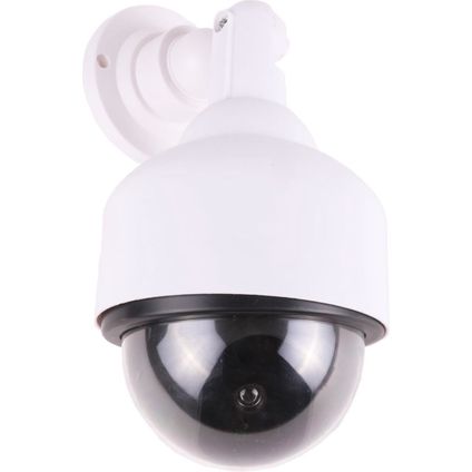 Benson Camera dummy + LED dome