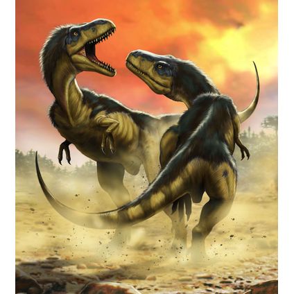 Komar fotobehangpapier Albertosauruses Fight groen, beige en oranje - 250 x 280 cm