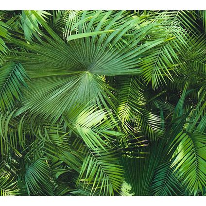 A.S. Création behangpapier tropische bladeren groen - 53 cm x 10,05 m - AS-362001