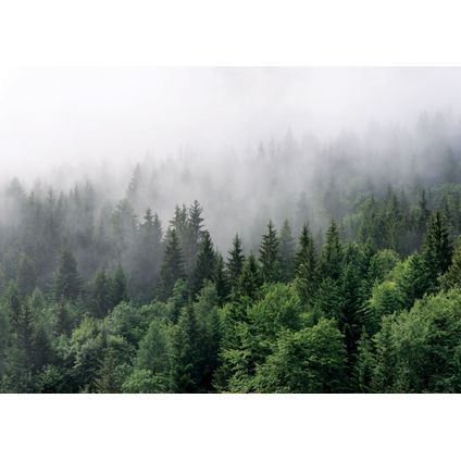 Sanders & Sanders poster berglandschap met bomen groen - 601235