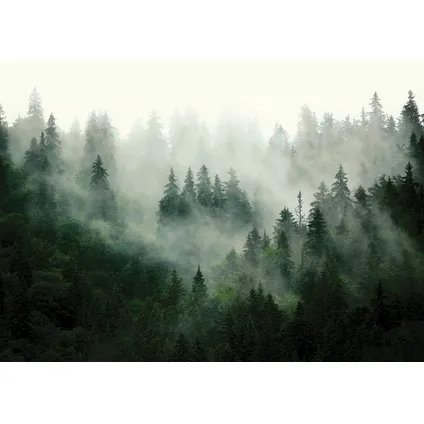 Sanders & Sanders poster berglandschap met bomen groen - 1.1 x 1.55 m - 601236
