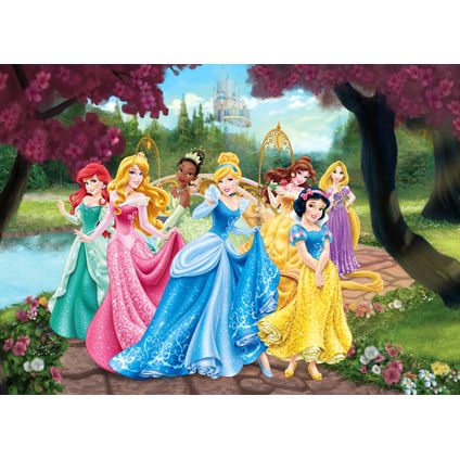 Disney poster prinsessen roze, geel en blauw - 160 x 110 cm - 600655