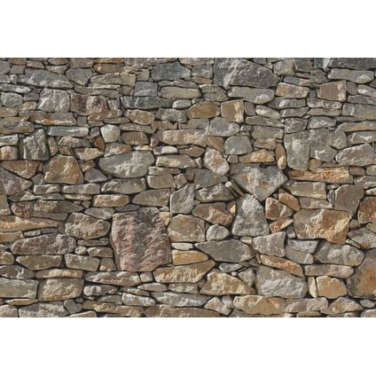 Komar fotobehang Stone Wall grijs en beige - 610999