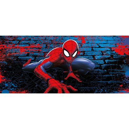 Sanders & Sanders poster Spider-Man rood en blauw - 0,9 x 2,02 m - 601084
