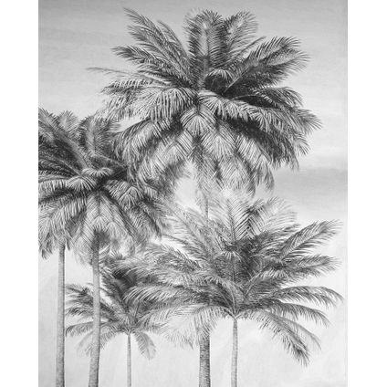 Komar papier peint panoramique Cocco noir et blanc - 200 x 250 cm - 611621