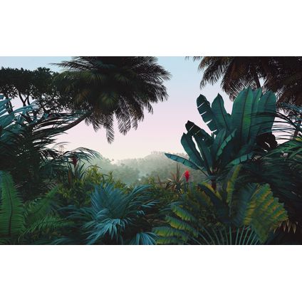 Komar fotobehang Jungle Morning groen en petrolblauw - 400 x 250 cm - 611230