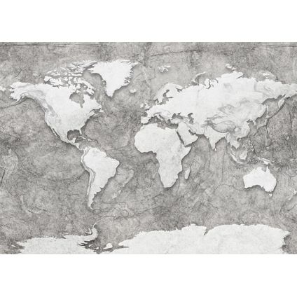 Komar fotobehang World Relief grijs - 350 x 250 cm - 611635