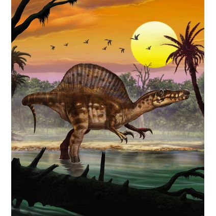 Komar papier peint panoramique Spinosaurus multicolore - 250 x 280 cm - 610810