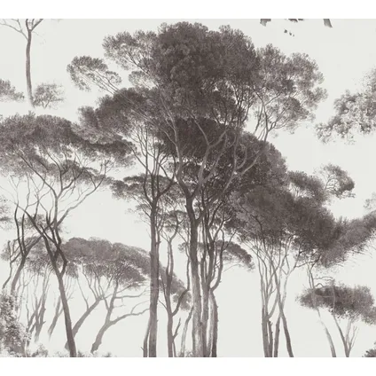 A.S. Création behangpapier bomen zwart en wit - 53 cm x 10,05 m - AS-376511 2