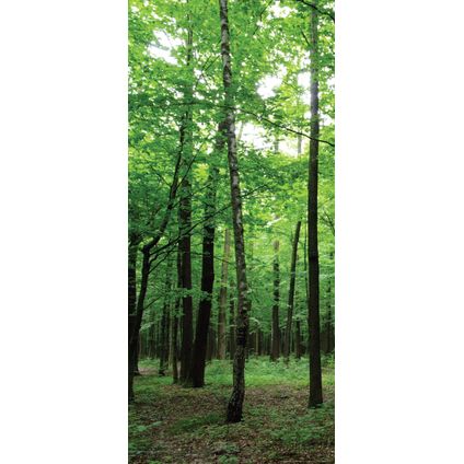 Sanders & Sanders poster bosrijk landschap groen - 90 x 202 cm - 600829