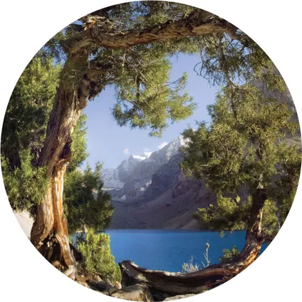 papier peint panoramique rond adhésif montagnes avec des arbres vert, bleu et beige