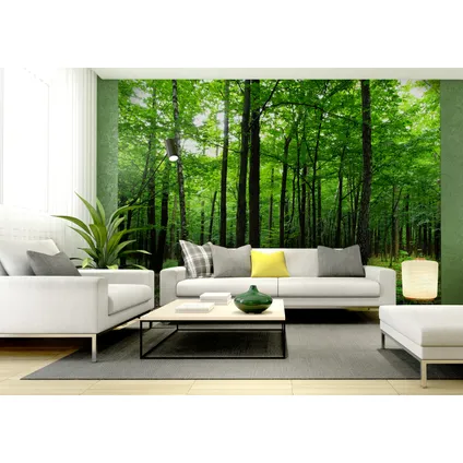 Sanders & Sanders papier peint panoramique paysage boisé vert - 360 x 254 cm - 600401 2