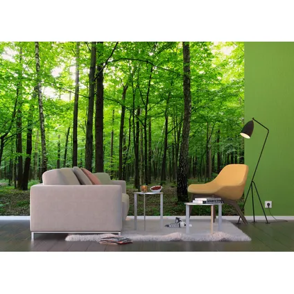 Sanders & Sanders papier peint panoramique paysage boisé vert - 360 x 254 cm - 600401 3