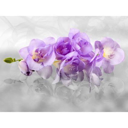 Sanders & Sanders fotobehangpapier bloemen grijs en paars - 360 x 270 cm - 600528