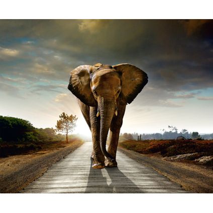 Sanders & Sanders fotobehangpapier olifant beige, grijs en blauw - 360 x 270 cm