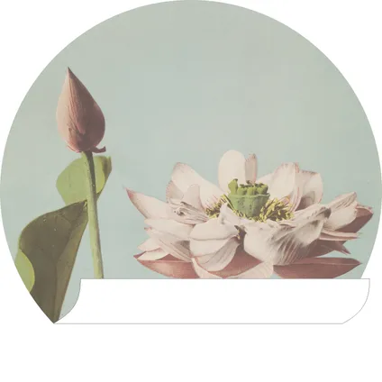 ESTAhome papier peint panoramique rond adhésif fleur de lotus vieux rose et bleu gris - Ø 70 cm 6