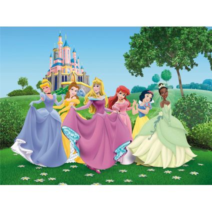 Disney fotobehangpapier prinsessen groen, roze en geel - 360 x 270 cm - 600570