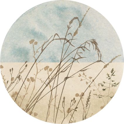 Komar papier peint panoramique rond adhésif Gazon beige et bleu - Ø 125 cm - 611169