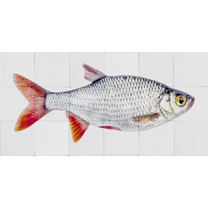 ESTAhome sticker mural poisson gris et rouge - 97 x 48,5 cm - 159029