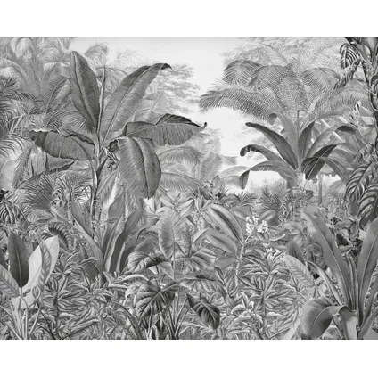 Komar fotobehangpapier Roraima zwart wit - 350 x 280 cm - 610854