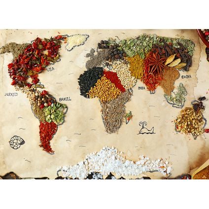 Sanders & Sanders fotobehangpapier wereldkaart beige, rood en groen - 360 x 270 cm