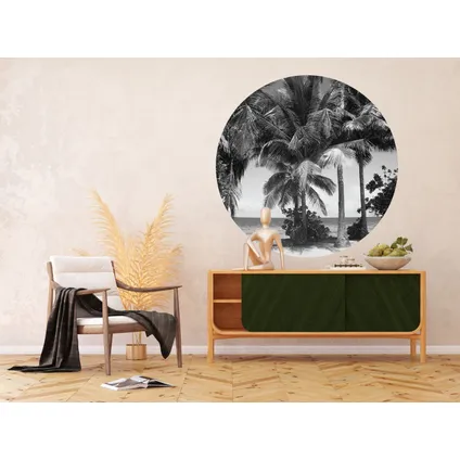 papier peint panoramique rond adhésif paysage tropical avec des palmiers noir et blanc 3