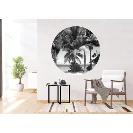 papier peint panoramique rond adhésif paysage tropical avec des palmiers noir et blanc 5