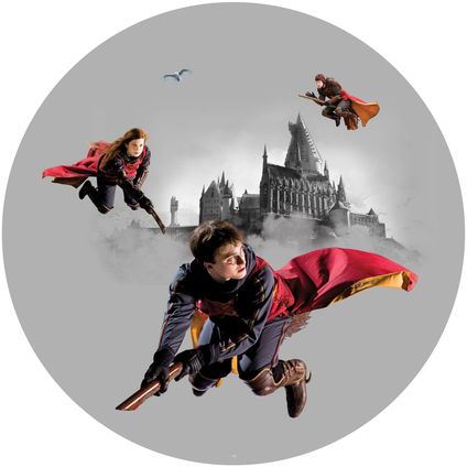 Sanders & Sanders papier peint panoramique rond adhésif Harry Potter Poudlard gris et rouge