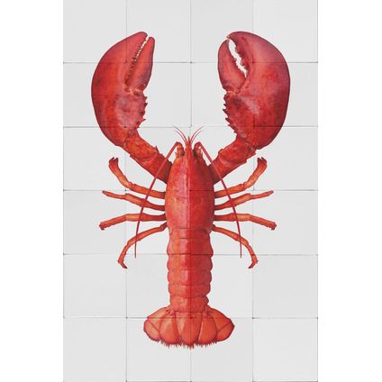 ESTAhome sticker mural homard rouge - 70 x 46,5 cm - 159035