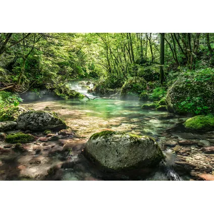 Komar fotobehang Fototapete Riverbed groen - 368 x 254 cm - 610927