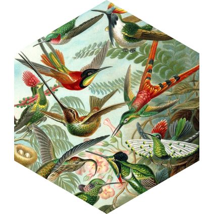 ESTAhome sticker mural oiseaux vert jungle tropicale - 140 x 161 cm - 159023