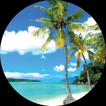 papier peint panoramique rond adhésif paysage tropical avec des palmiers bleu et vert