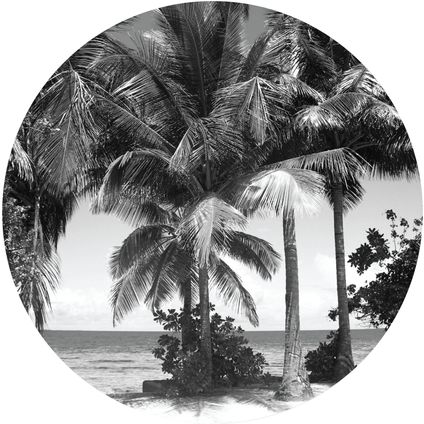 papier peint panoramique rond adhésif paysage tropical avec des palmiers noir et gris
