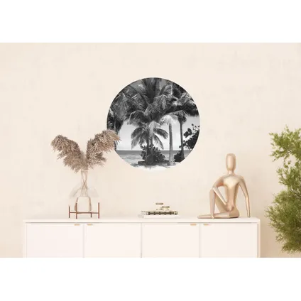 papier peint panoramique rond adhésif paysage tropical avec des palmiers noir et gris 3