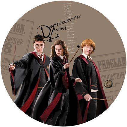 papier peint panoramique rond adhésif Harry Potter, Hermione Granger, Ron Weasley