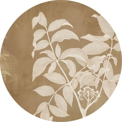 Komar papier peint panoramique rond adhésif Blooming Branch beige - Ø 125 cm - 611168