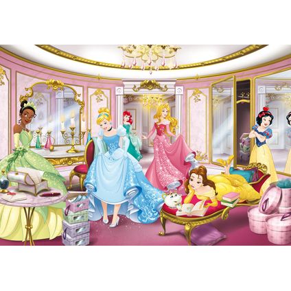 Komar papier peint panoramique Princess Mirror multicolore - 368 x 254 cm - 610960